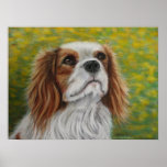 Cavalier King Charles Spaniel Art - Addie - Print