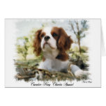 Cavalier King Charles Spaniel Art Gifts Greeting Cards