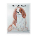 Cavalier King Charles Spaniel Birthday postcard