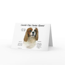 Cavalier King Charles Spaniel (Blenheim) History cards