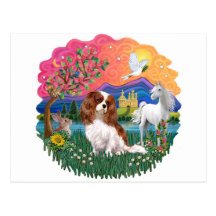 Cavalier King Charles Spaniel (Blenheim) Post Card