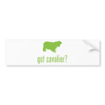 Cavalier King Charles Spaniel bumper stickers