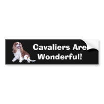 Cavalier King Charles Spaniel Bumper Sticker bumper stickers
