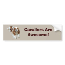 Cavalier King Charles Spaniel Bumper Sticker bumper stickers