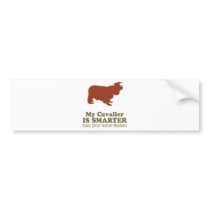 Cavalier King Charles Spaniel bumper stickers