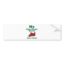 Cavalier King Charles Spaniel bumper stickers