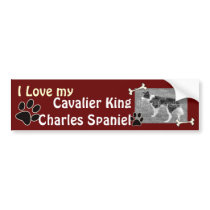 Cavalier King Charles Spaniel Bumper Sticker bumper stickers