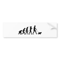 Cavalier King Charles Spaniel bumper stickers