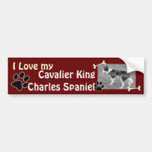 Cavalier King Charles Spaniel Bumper Sticker