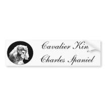 Cavalier king charles spaniel bumpersticker