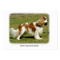 Cavalier King Charles Spaniel business cards