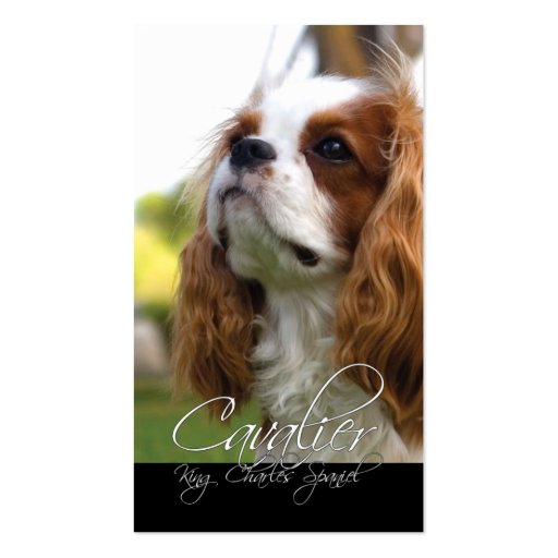 Cavalier King Charles Spaniel Business Cards