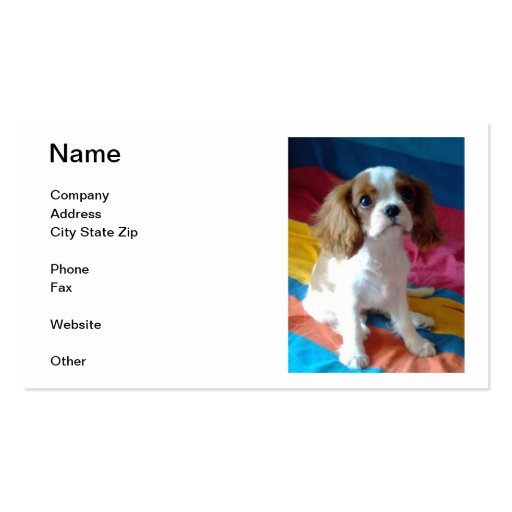 Cavalier King Charles Spaniel Business Cards (front side)