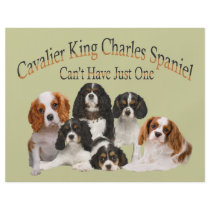 Cavalier King Charles Spaniel Can't Have Just One Personalized Flyer