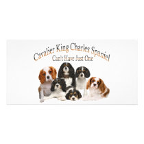 Cavalier King Charles Spaniel Can't Have Just One photo cards