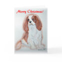 Cavalier King Charles Spaniel Christmas Card
