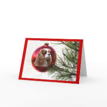 Cavalier King Charles Spaniel Christmas Card Ball