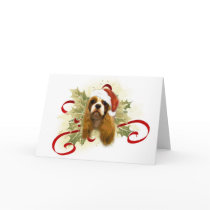 Cavalier King Charles Spaniel Christmas Cards