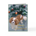 Cavalier King Charles Spaniel Christmas Gifts cards