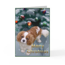 Cavalier King Charles Spaniel Christmas Gifts cards