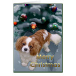 Cavalier King Charles Spaniel Christmas Gifts Greeting Cards