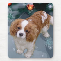 Cavalier King Charles Spaniel Christmas Gifts mousepads