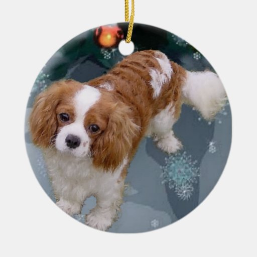 cavalier king charles spaniel christmas ornament zazzle cavalier king charles spaniel christmas ornament zazzle