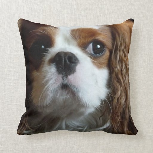 spaniel pillow