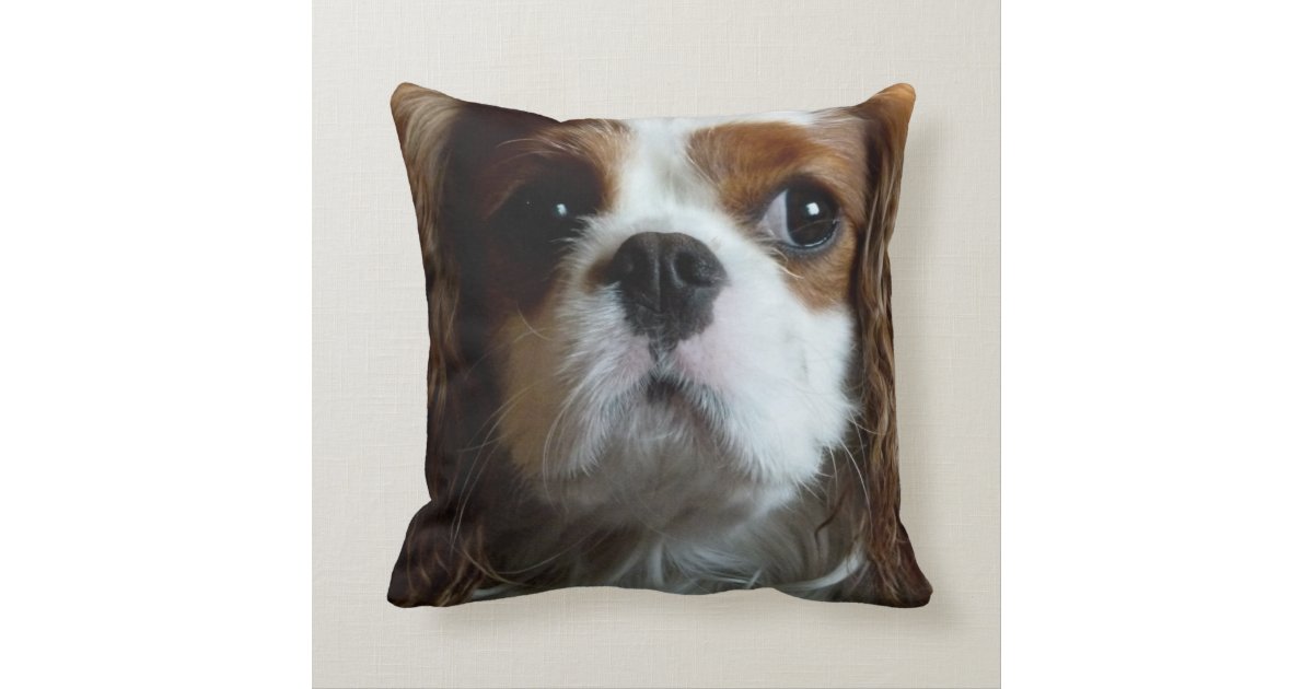 cavalier king charles spaniel cushion