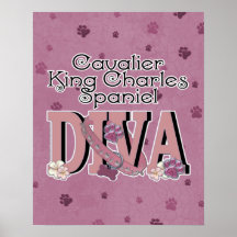 Cavalier King Charles Spaniel DIVA Poster