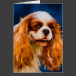 Cavalier King Charles Spaniel Dog Art - Chelsea Cards