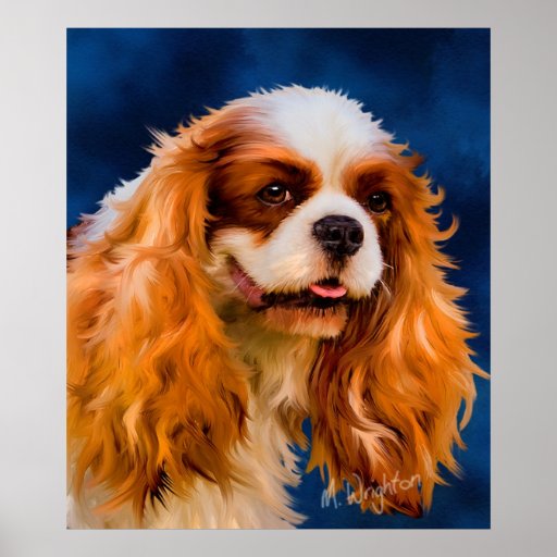 Cavalier King Charles Spaniel Dog Art - Chelsea Poster