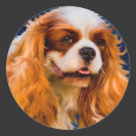 Cavalier King Charles Spaniel Dog Art - Chelsea Stickers