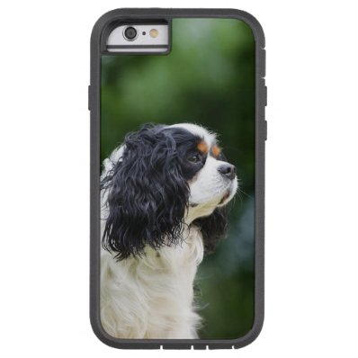 Cavalier King Charles Spaniel dog lovers photo Tough Xtreme iPhone 6 Case