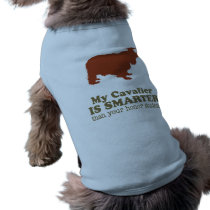 Cavalier King Charles Spaniel pet clothing by Pawdboy Cavalier King Charles Spaniel pet clothing