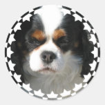 Cavalier King Charles Spaniel Dog Sticker