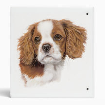 Cavalier King Charles Spaniel Folder 3 Ring Binder