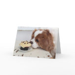 Cavalier King Charles Spaniel Fridays Cupcake Card