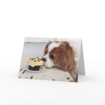 Cavalier King Charles Spaniel Fridays Cupcake Card