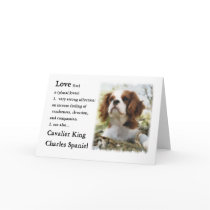 Cavalier King Charles Spaniel Gifts cards