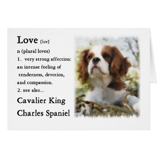 Cavalier King Charles Spaniel Gifts Greeting Card