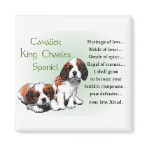 Cavalier King Charles Spaniel Gifts magnets