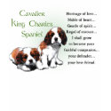 Cavalier King Charles Spaniel Gifts t-shirts