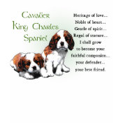 Cavalier King Charles Spaniel Gifts