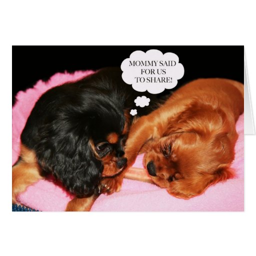 Cavalier King Charles Spaniel Let's Share Care Greeting Cards