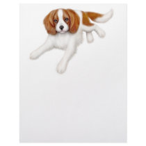 Cavalier King Charles Spaniel Letterhead