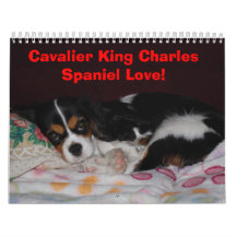 Cavalier King Charles Spaniel Love! - Customized Wall Calendars