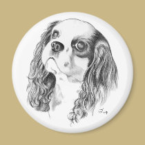 Cavalier King Charles Spaniel magnets