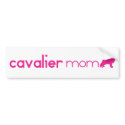 Cavalier King Charles Spaniel Mom bumper stickers