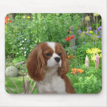 Cavalier King Charles Spaniel Mousepad by normagolden Cavalier King Charles Spaniel Mousepad